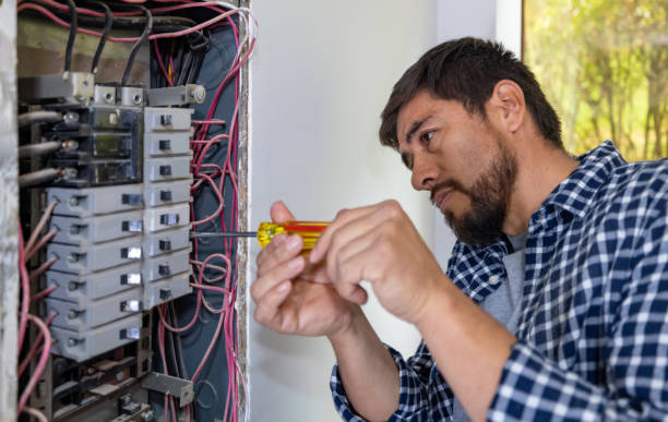 Best Licensed Electrician  in Wapakoneta, OH
